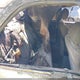 4T1BG22K9YU742590 2000 Toyota Camry Le auction photo thumbnail 8