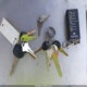 4UZAAHDCX4CN53128 2004 Freightliner Chassis X Line Motor Home auction photo thumbnail 11