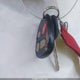2G1WH52KX59359375 2005 Chevrolet Impala Ls auction photo thumbnail 11