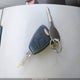 2A8GM68X68R641476 2008 Chrysler Pacifica Touring auction photo thumbnail 11