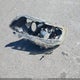1HGCR2F75DA118369 2013 Honda Accord Ex auction photo thumbnail 12