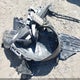 JF1VBAB62R9801289 2024 Subaru Wrx auction photo thumbnail 12