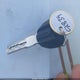 ZDM1RADN9CB056991 2012 Ducati Monster 696 auction photo thumbnail 11