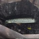 3FADP4TJ0EM102367 2014 Ford Fiesta S auction photo thumbnail 9