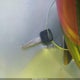 2FMZA51U4WBE03985 1998 Ford Windstar Base 3.0/Gl auction photo thumbnail 11