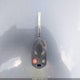 1FADP3F28DL264973 2013 Ford Focus Se auction photo thumbnail 11
