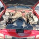 1GTEC14Z8SZ552548 1995 GMC Sierra C1500 auction photo thumbnail 10