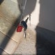 KNADC165536167616 2003 Kia Rio Cinco auction photo thumbnail 11