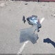 3HGCM56363G708464 2003 Honda Accord 2.4 Lx auction photo thumbnail 12