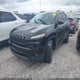 1C4PJMCB0GW277111 2016 Jeep Cherokee 75Th Anniversary auction photo thumbnail 2