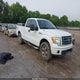 1FTEX1E8XAFA98474 2010 Ford F-150 Stx/Xl/Xlt auction photo thumbnail 1