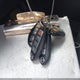 1N4AA5AP9BC861565 2011 Nissan Maxima 3.5 Sv auction photo thumbnail 11