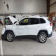 1C4PJMDS3FW757561 2015 Jeep Cherokee Limited auction photo thumbnail 15