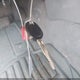 3TMJU4GNXAM103720 2010 Toyota Tacoma Prerunner V6 auction photo thumbnail 10