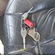 1J4GW58N73C526424 2003 Jeep Grand Cherokee Limited auction photo thumbnail 11