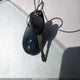 JF1GD67585G523536 2005 Subaru Impreza 2.5Rs auction photo thumbnail 11