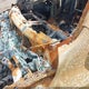 1C6SRFFT6LN135047 2020 Ram 1500 Big Horn 4X4 5'7 Box auction photo thumbnail 9