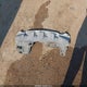 JN8AZ1MU5AW004058 2010 Nissan Murano Sl auction photo thumbnail 12