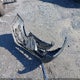 KNDPB3AC8G7857087 2016 Kia Sportage Lx auction photo thumbnail 12