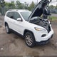 1C4PJMCS7HW594613 2017 Jeep Cherokee Latitude 4X4 auction photo thumbnail 1