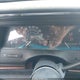 1G4HR52K3WH440515 1998 Buick Lesabre Limited auction photo thumbnail 7