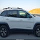 1C4PJMBB6GW203175 2016 Jeep Cherokee Trailhawk auction photo thumbnail 13