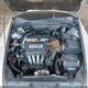 3HGCM564X7G702925 2007 Honda Accord Lx auction photo thumbnail 10