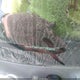 5N1AT2MT4EC753432 2014 Nissan Rogue Sl auction photo thumbnail 9