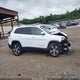 1C4PJMDXXKD413095 2019 Jeep Cherokee Limited 4X4 auction photo thumbnail 13