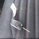 3FA6P0H78GR276563 2016 Ford Fusion Se auction photo thumbnail 11