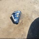 KM8HBCAB7SU287973 2025 Hyundai Kona Sel auction photo thumbnail 12