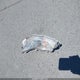 4T1BD1FK6GU180711 2016 Toyota Camry Hybrid Le auction photo thumbnail 11