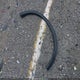 5N1AT2MV7GC831285 2016 Nissan Rogue Sv auction photo thumbnail 12