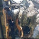 3D7LS38C85G702843 2005 Dodge Ram 3500 Slt/Laramie auction photo thumbnail 7