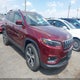 1C4PJMDX0KD336821 2019 Jeep Cherokee Limited 4X4 auction photo thumbnail 1