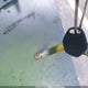 LL0TCKPF5NG001630 2022 Yongfu Yn50Qt auction photo thumbnail 11