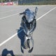 JKAEXKG14PDAM1467 2023 Kawasaki Ex400 auction photo thumbnail 5
