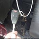 1J4AA2D16BL540853 2011 Jeep Wrangler Sport auction photo thumbnail 11