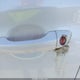 3KPC24A69LE121204 2020 Hyundai Accent Se auction photo thumbnail 17