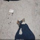 1FT8W3BT9GEC13083 2016 Ford F-350 Lariat auction photo thumbnail 12