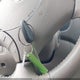 5TDZK22C48S219847 2008 Toyota Sienna Xle auction photo thumbnail 11
