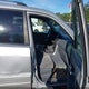 2HKYF18483H541433 2003 Honda Pilot Ex auction photo thumbnail 5
