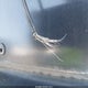1FTSE34L6XHA02962 1999 Ford E-350 Super Duty Commercial/Recreational auction photo thumbnail 19