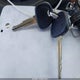 5NPD74LFXHH093659 2017 Hyundai Elantra Se auction photo thumbnail 11