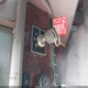 2NKHHM7X5AM263917 2010 Kenworth Construction T370 auction photo thumbnail 10