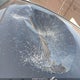 JTJAAAAB3PA000261 2023 Lexus Rz 450E Premium auction photo thumbnail 19