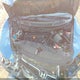 2HGFA1F8XBH545021 2011 Honda Civic Ex auction photo thumbnail 10