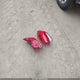 KM8J33A45GU196014 2016 Hyundai Tucson Se auction photo thumbnail 12