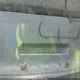 1JTML65T3JT245923 1988 Jeep Comanche Laredo auction photo thumbnail 9