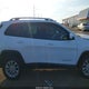 1C4PJLCB8LD565426 2020 Jeep Cherokee Latitude Fwd auction photo thumbnail 13